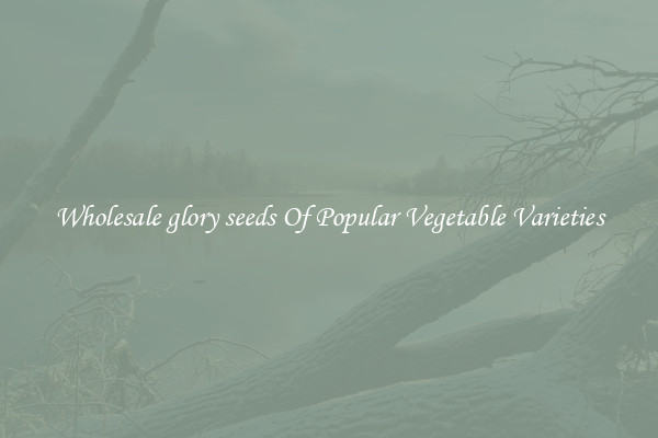 Wholesale glory seeds Of Popular Vegetable Varieties