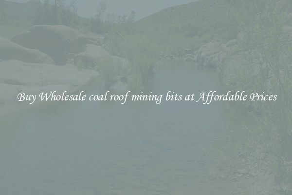 Buy Wholesale coal roof mining bits at Affordable Prices