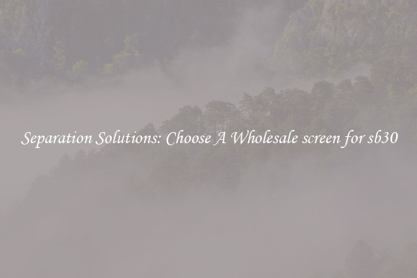 Separation Solutions: Choose A Wholesale screen for sb30