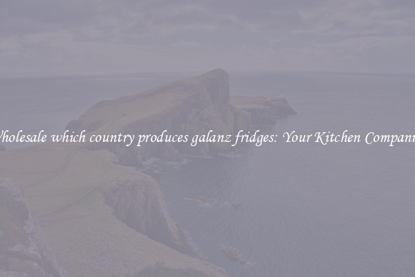 Wholesale which country produces galanz fridges: Your Kitchen Companion