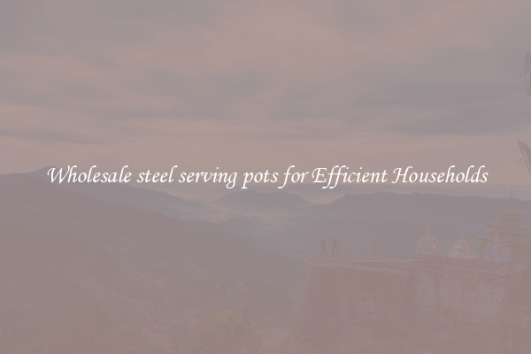 Wholesale steel serving pots for Efficient Households