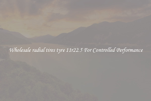 Wholesale radial tires tyre 11r22.5 For Controlled Performance
