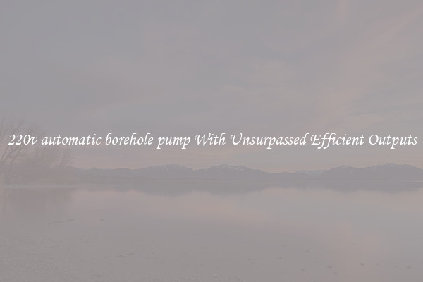 220v automatic borehole pump With Unsurpassed Efficient Outputs