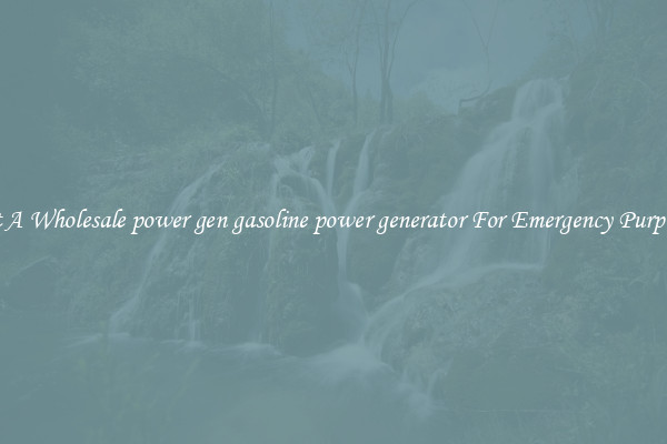 Get A Wholesale power gen gasoline power generator For Emergency Purposes
