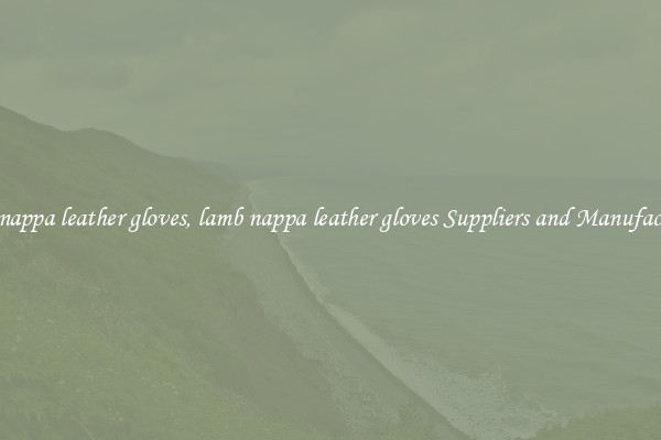 lamb nappa leather gloves, lamb nappa leather gloves Suppliers and Manufacturers