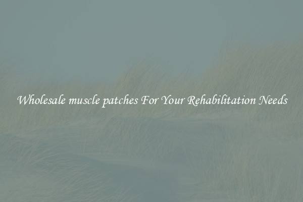 Wholesale muscle patches For Your Rehabilitation Needs