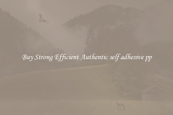 Buy Strong Efficient Authentic self adhesive pp