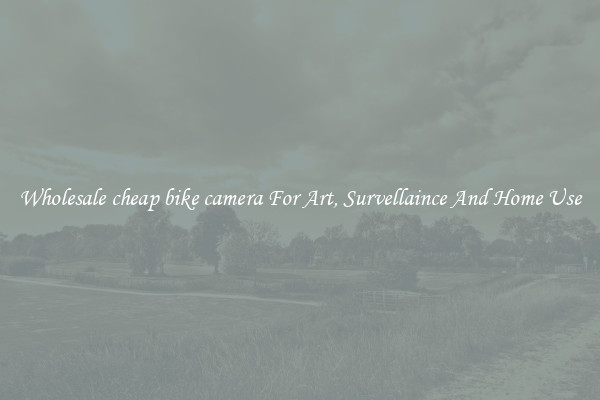 Wholesale cheap bike camera For Art, Survellaince And Home Use