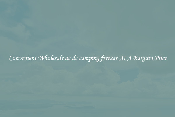 Convenient Wholesale ac dc camping freezer At A Bargain Price