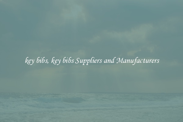 key bibs, key bibs Suppliers and Manufacturers