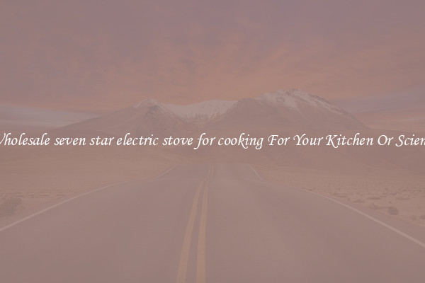 Wholesale seven star electric stove for cooking For Your Kitchen Or Science