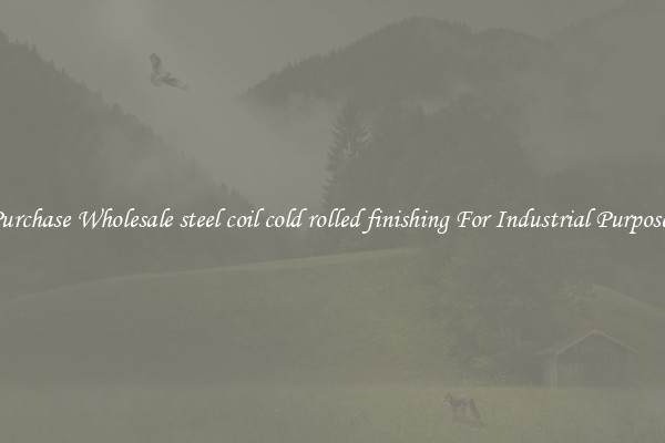 Purchase Wholesale steel coil cold rolled finishing For Industrial Purposes