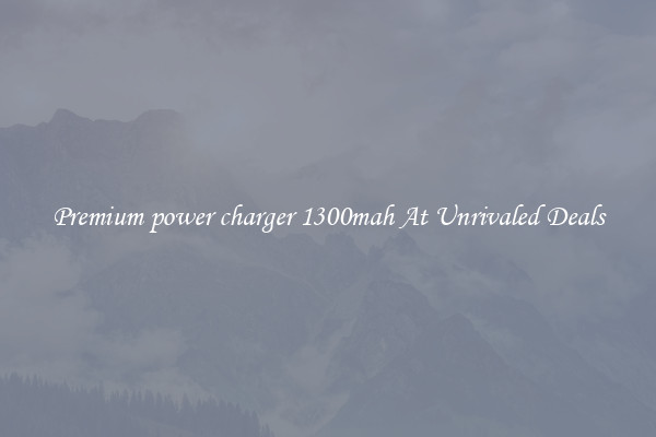 Premium power charger 1300mah At Unrivaled Deals