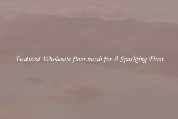Featured Wholesale floor swab for A Sparkling Floor