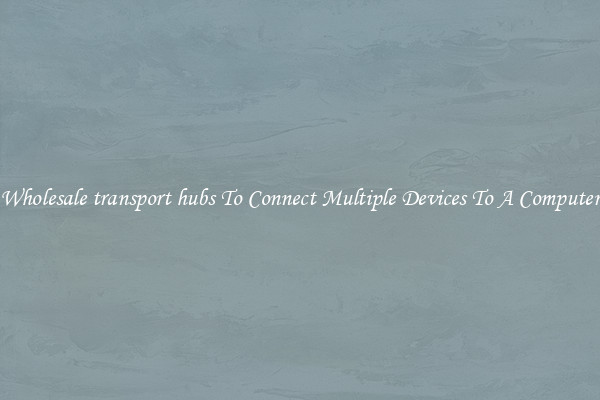 Wholesale transport hubs To Connect Multiple Devices To A Computer