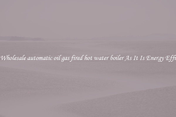 Buy Wholesale automatic oil gas fired hot water boiler As It Is Energy Efficient