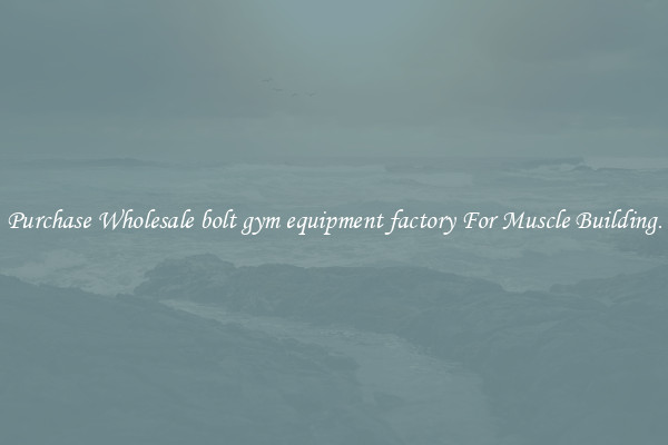 Purchase Wholesale bolt gym equipment factory For Muscle Building.
