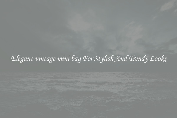Elegant vintage mini bag For Stylish And Trendy Looks