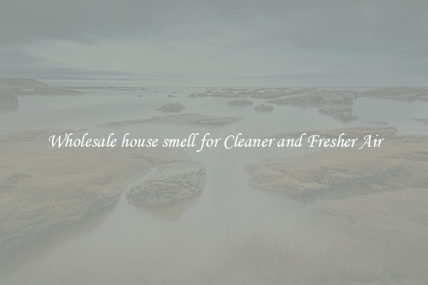 Wholesale house smell for Cleaner and Fresher Air
