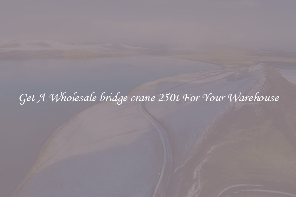 Get A Wholesale bridge crane 250t For Your Warehouse