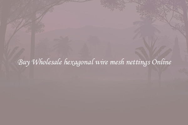 Buy Wholesale hexagonal wire mesh nettings Online