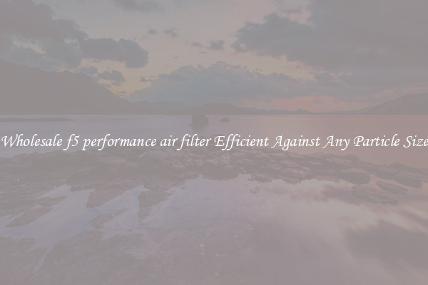 Wholesale f5 performance air filter Efficient Against Any Particle Size