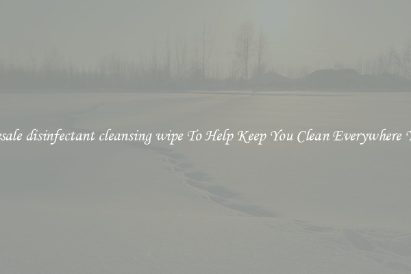 Wholesale disinfectant cleansing wipe To Help Keep You Clean Everywhere You Go