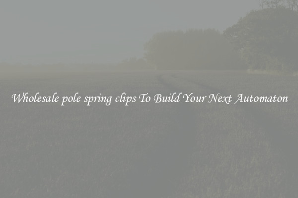 Wholesale pole spring clips To Build Your Next Automaton